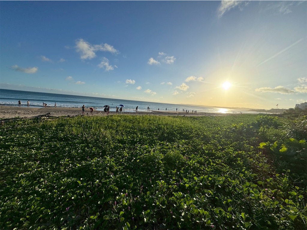 f:id:DaliNeko:20251009004326j:image