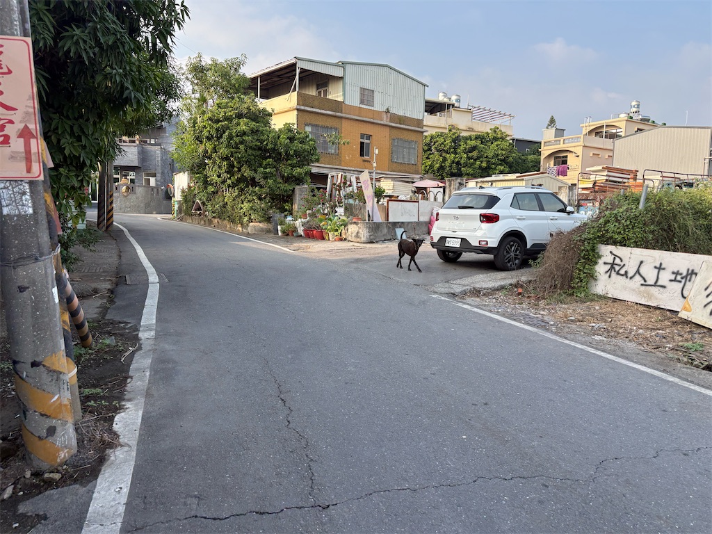 f:id:DaliNeko:20251221215155j:image