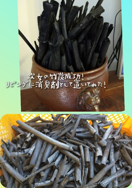 f:id:Daliasun:20221112193432j:image f:id:Daliasun:20221112193432j:image