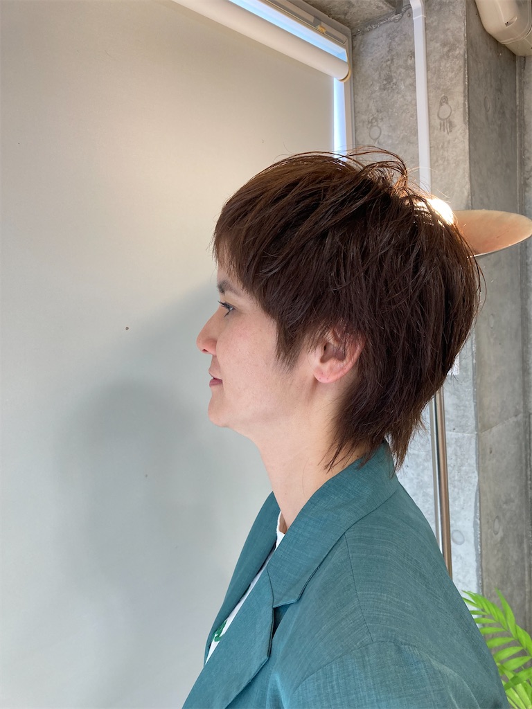 f:id:Dana922:20250828165328j:image