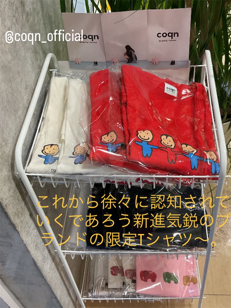 f:id:Dana922:20251022174237j:image