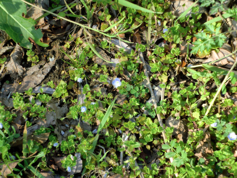 f:id:Daniel_Yang:20140323163331j:plain