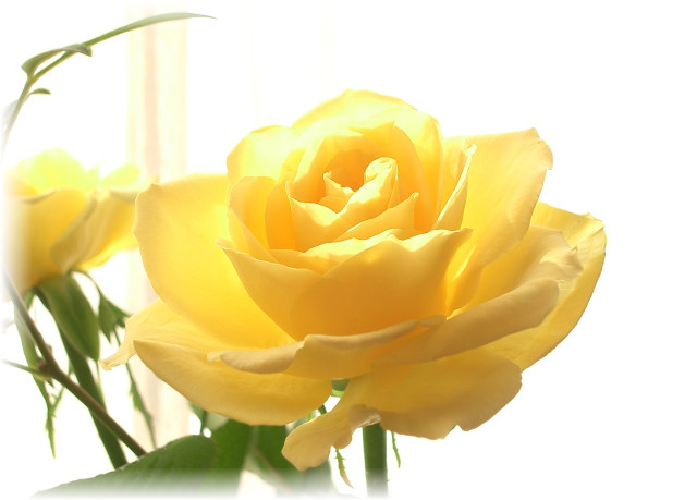 f:id:Daniel_Yang:20151220181006j:plain f:id:Daniel_Yang:20151220181006j:plain