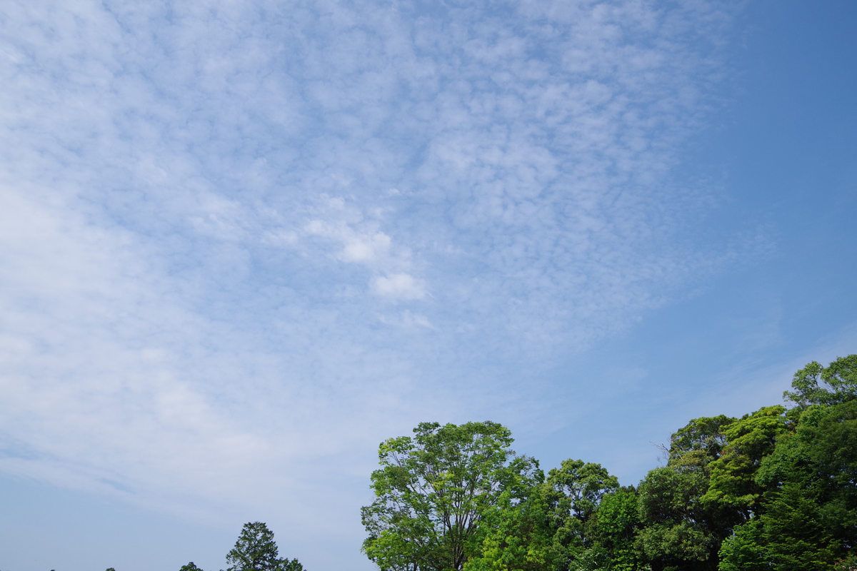 f:id:Daniel_Yang:20200606005543j:plain f:id:Daniel_Yang:20200606005543j:plain