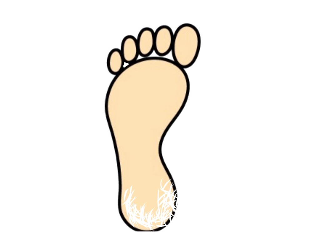 f:id:Dante-channeru:20190613175717j:image