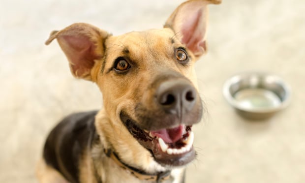 f:id:Darcychang:20181121181037j:plain f:id:Darcychang:20181121181037j:plain