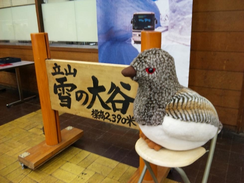 イメージ 5