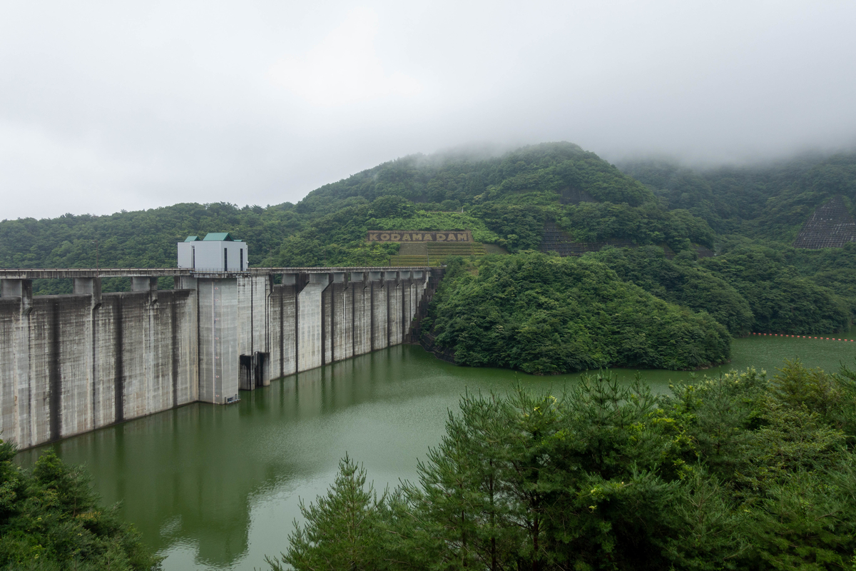 f:id:Dasaitama_Kenmin:20190717221956j:plain f:id:Dasaitama_Kenmin:20190717221956j:plain
