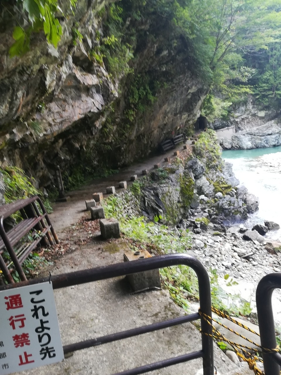 f:id:Daucas_carota:20200921003235j:plain