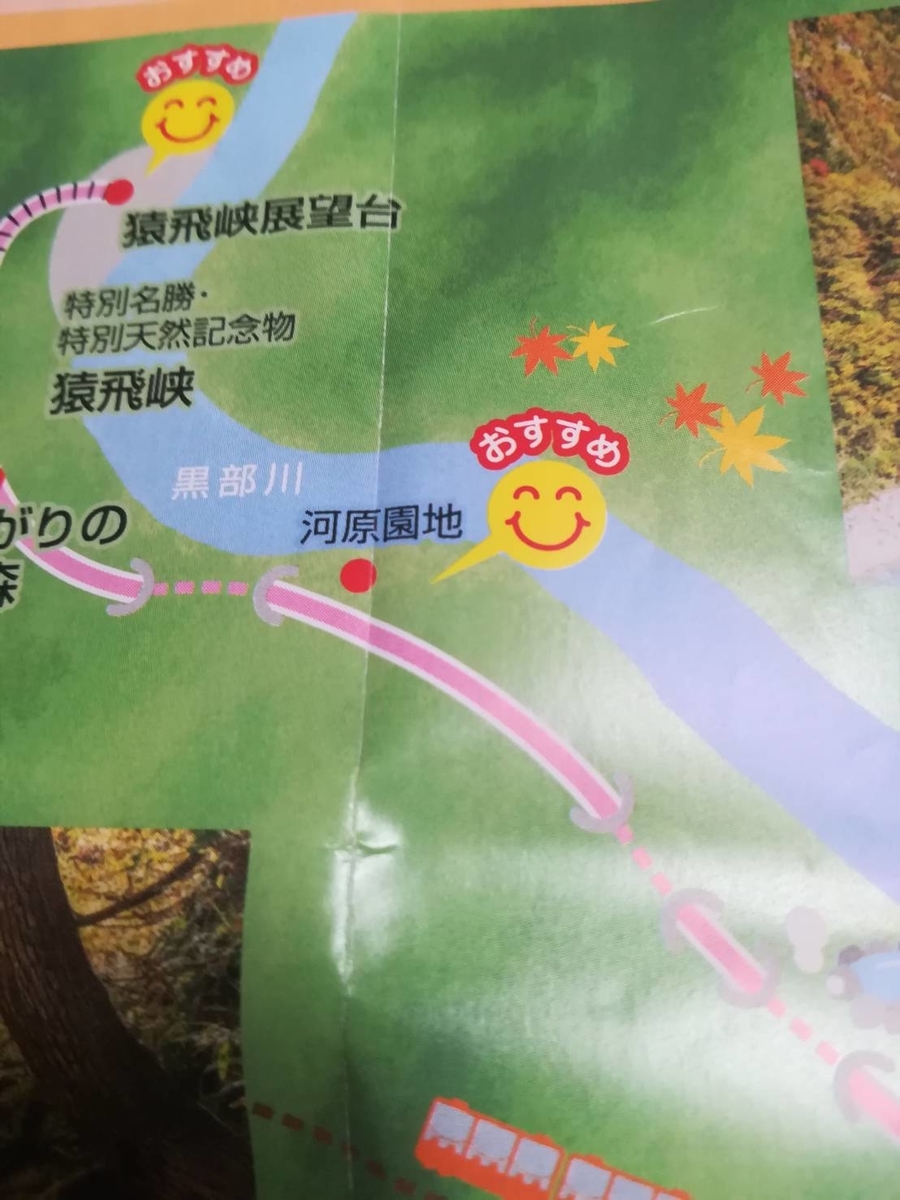 f:id:Daucas_carota:20200921003600j:plain