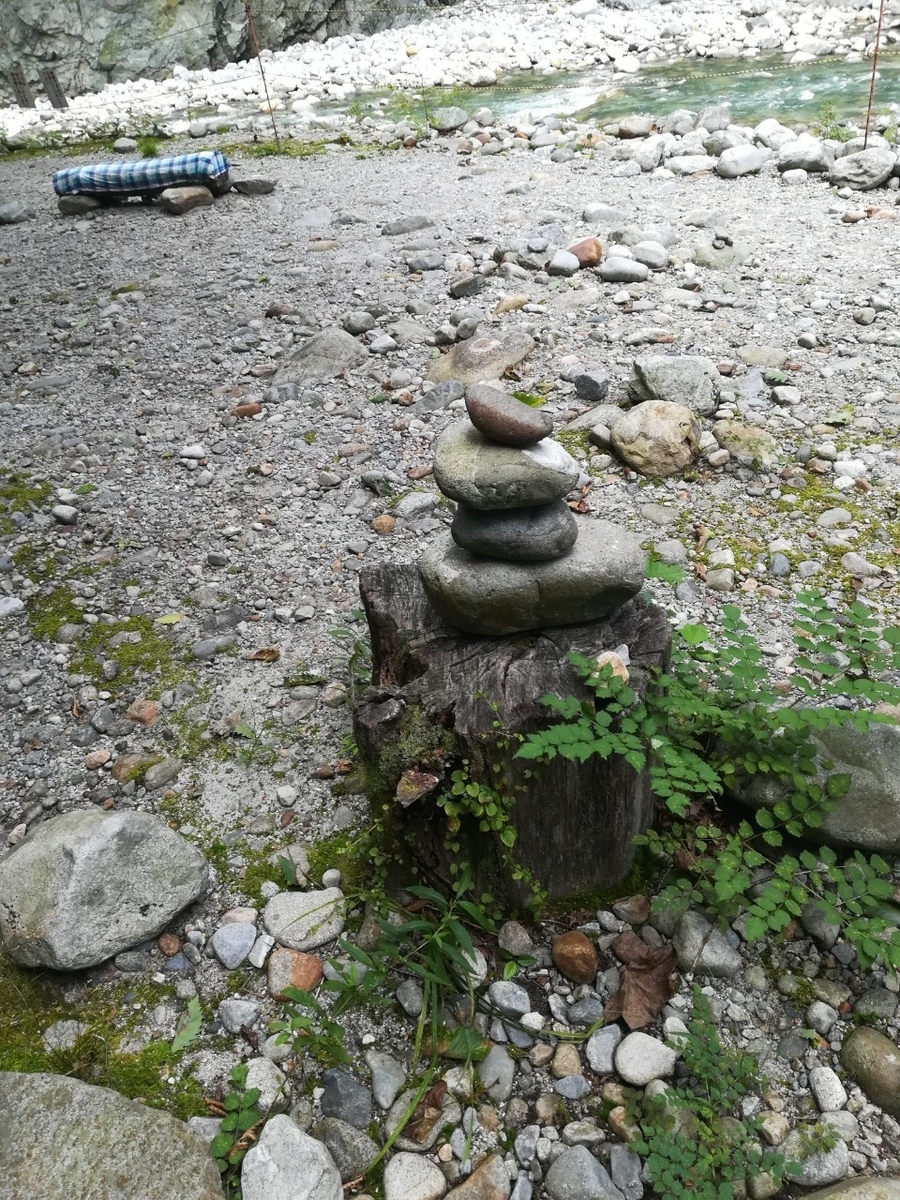 f:id:Daucas_carota:20200921003906j:plain