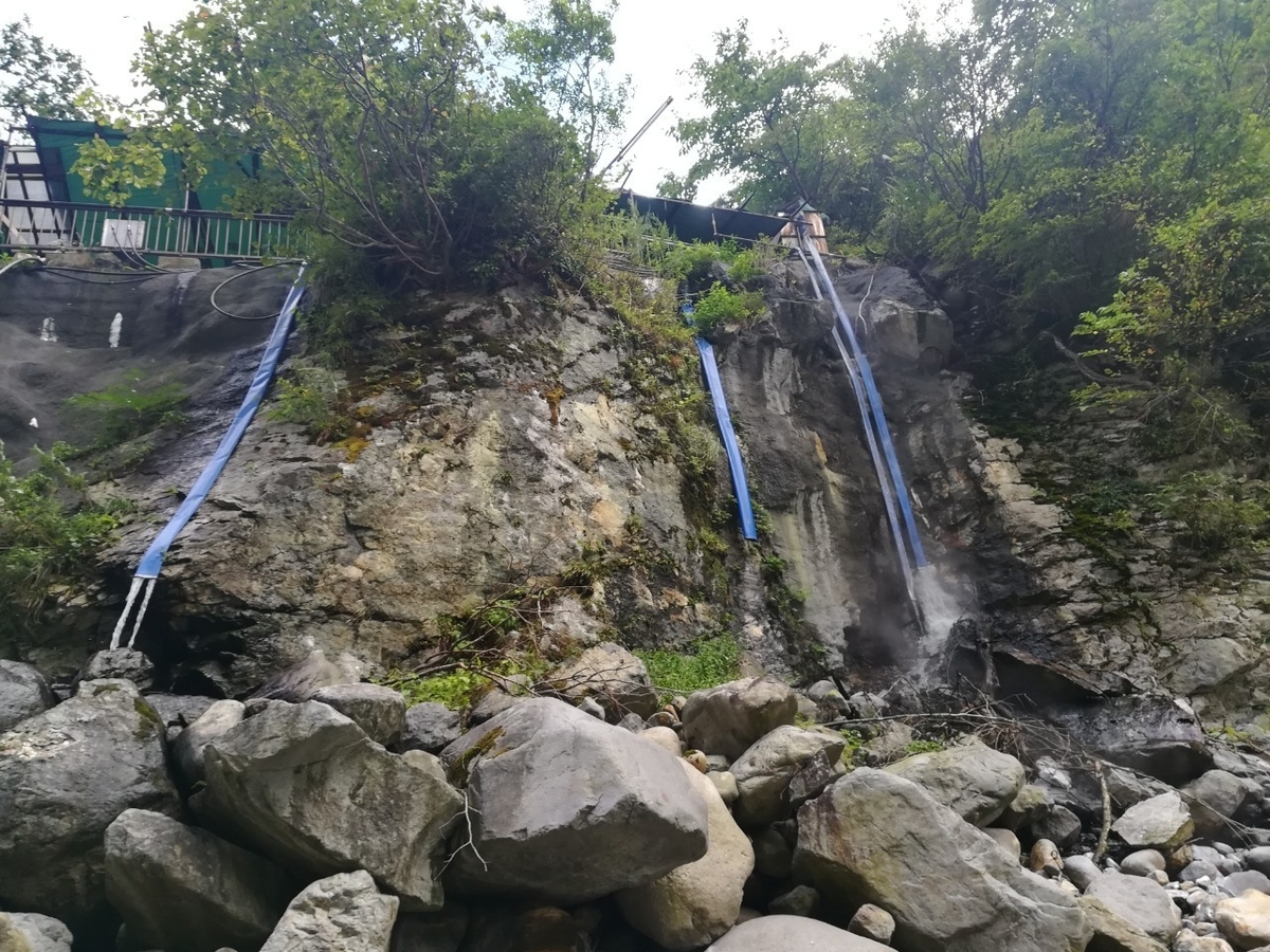 f:id:Daucas_carota:20200921222524j:plain