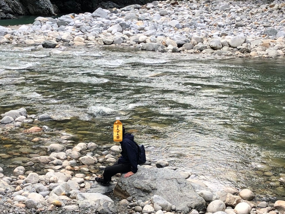 f:id:Daucas_carota:20200921223549j:plain