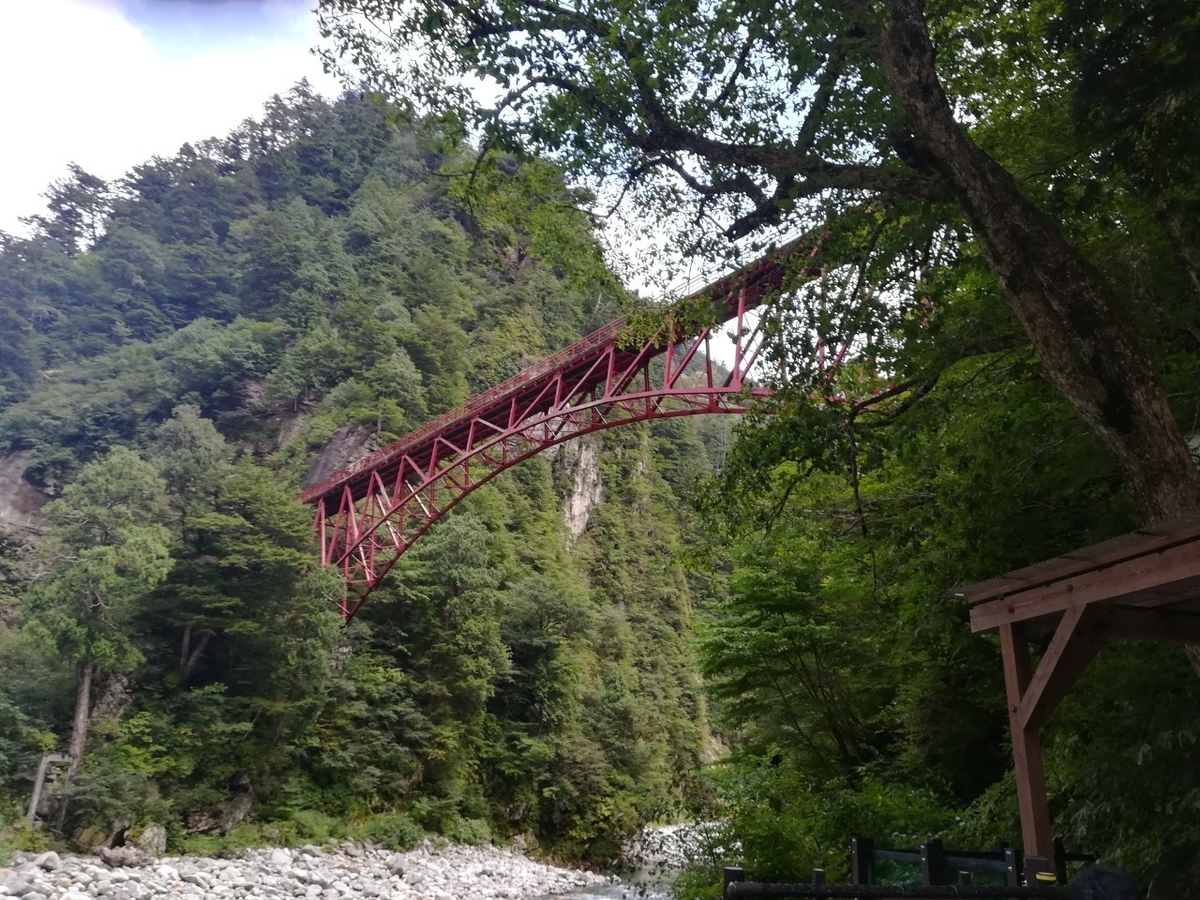 f:id:Daucas_carota:20200921224246j:plain