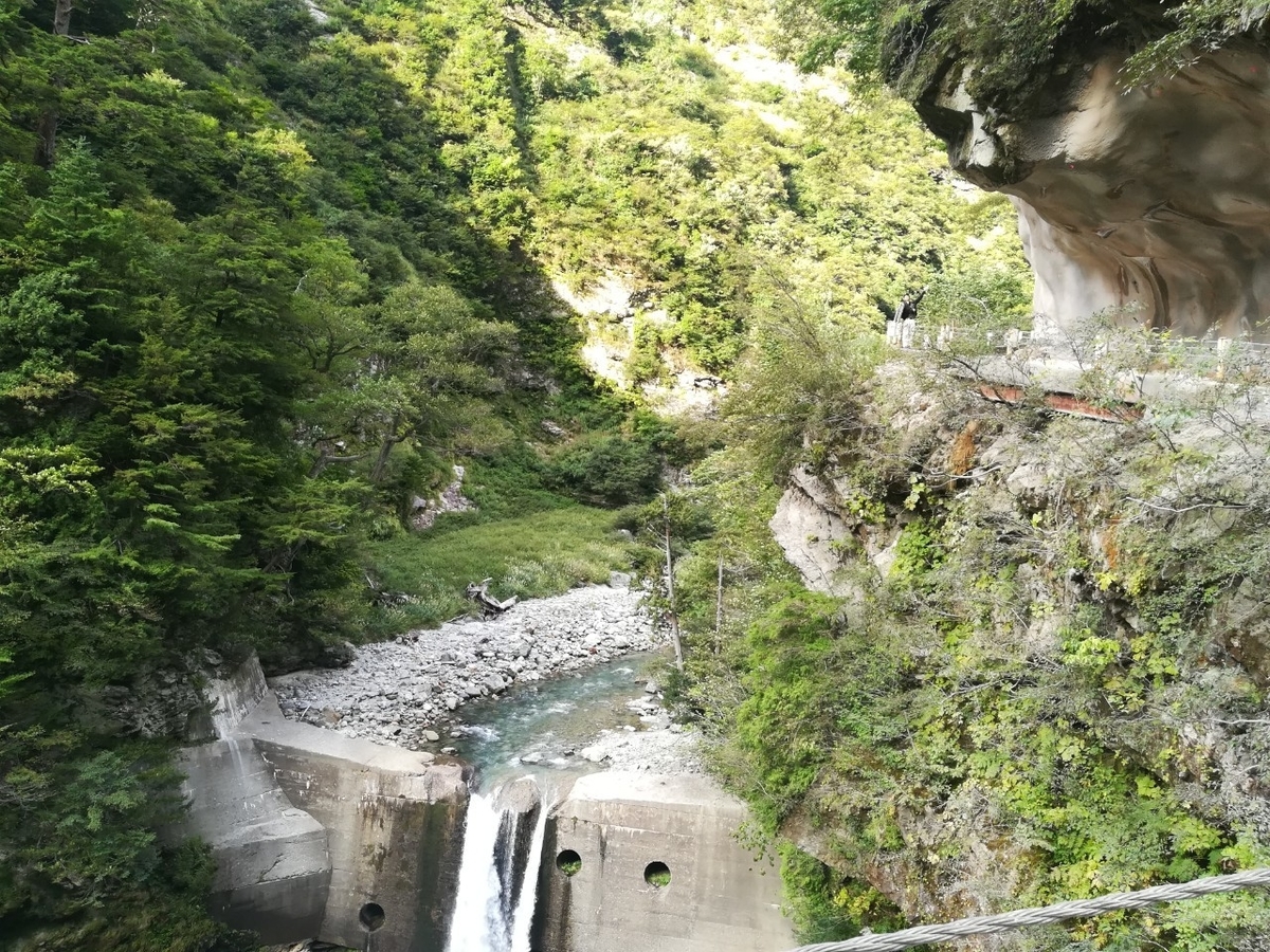 f:id:Daucas_carota:20200921224400j:plain