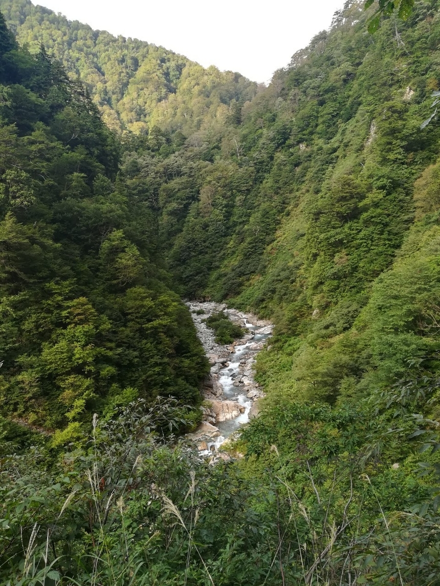 f:id:Daucas_carota:20200921224510j:plain