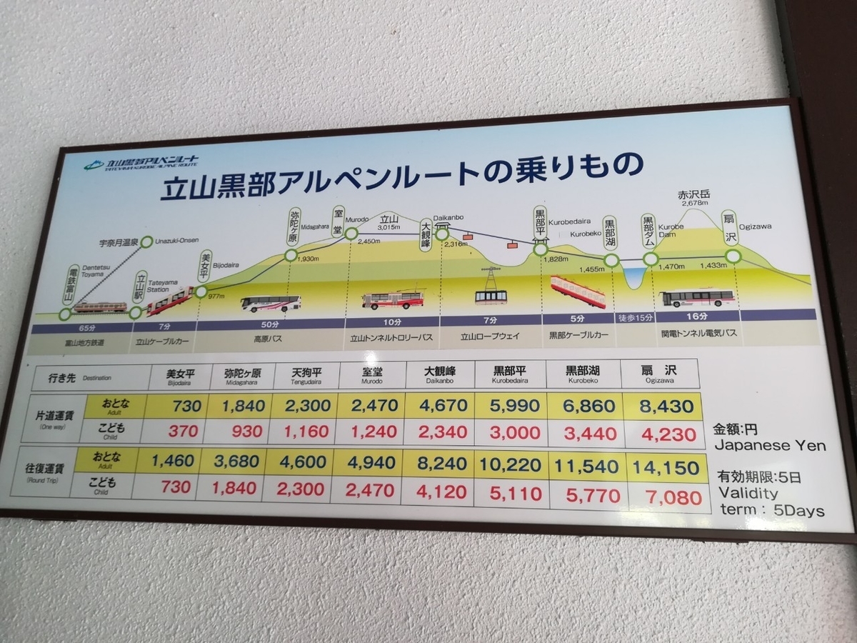 f:id:Daucas_carota:20200921233218j:plain