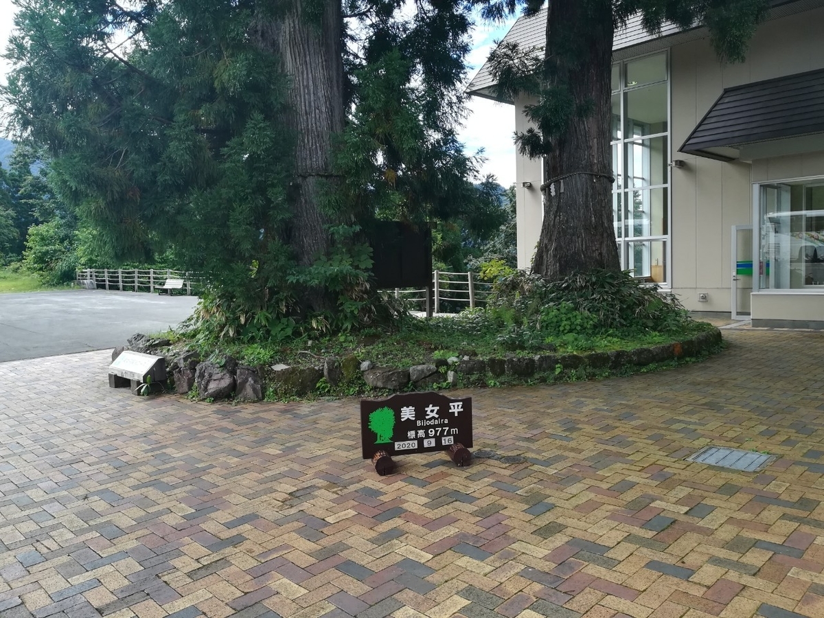 f:id:Daucas_carota:20200921234218j:plain