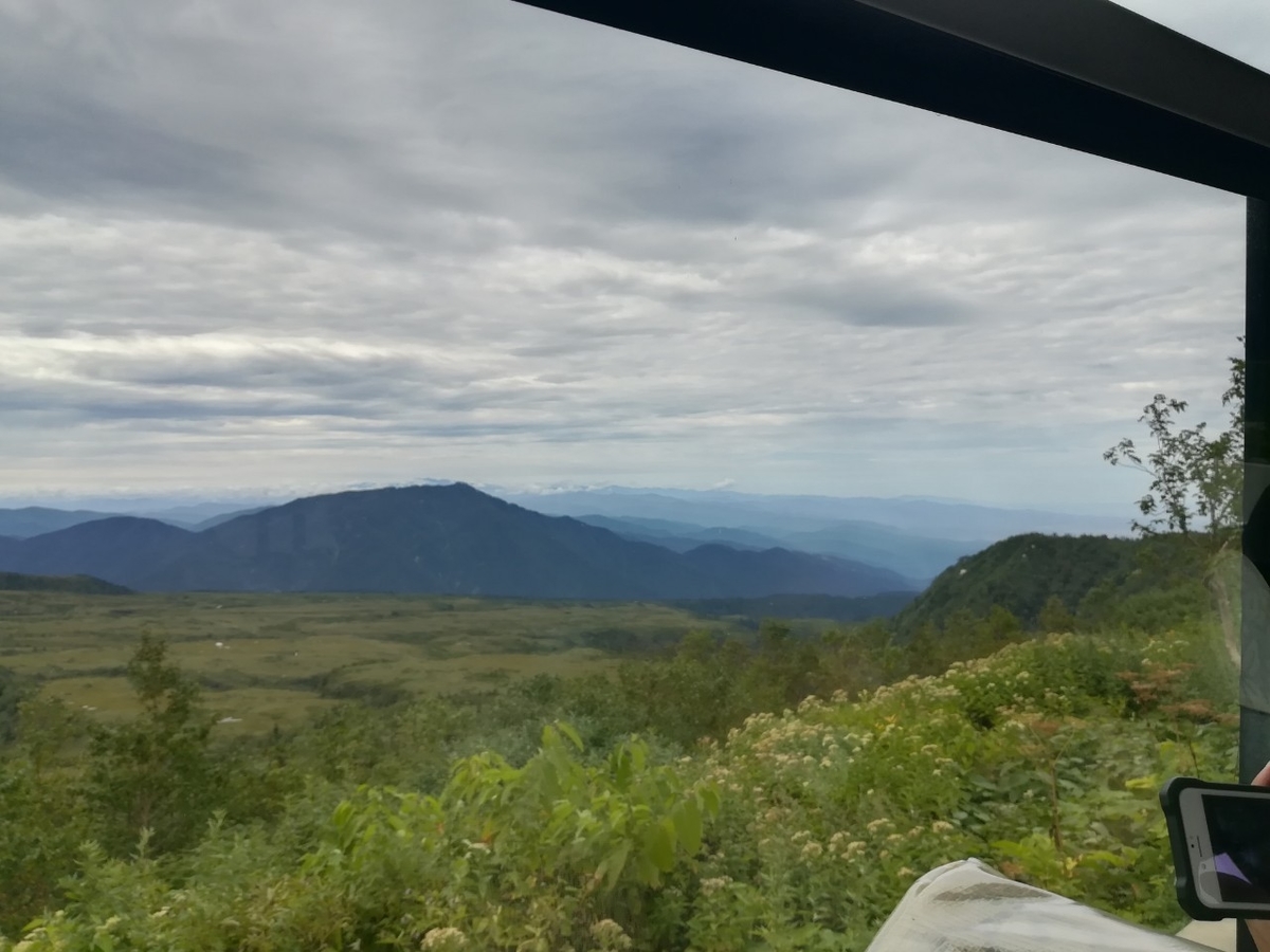 f:id:Daucas_carota:20200921235332j:plain