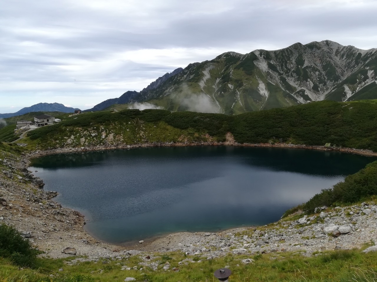 f:id:Daucas_carota:20200922115302j:plain