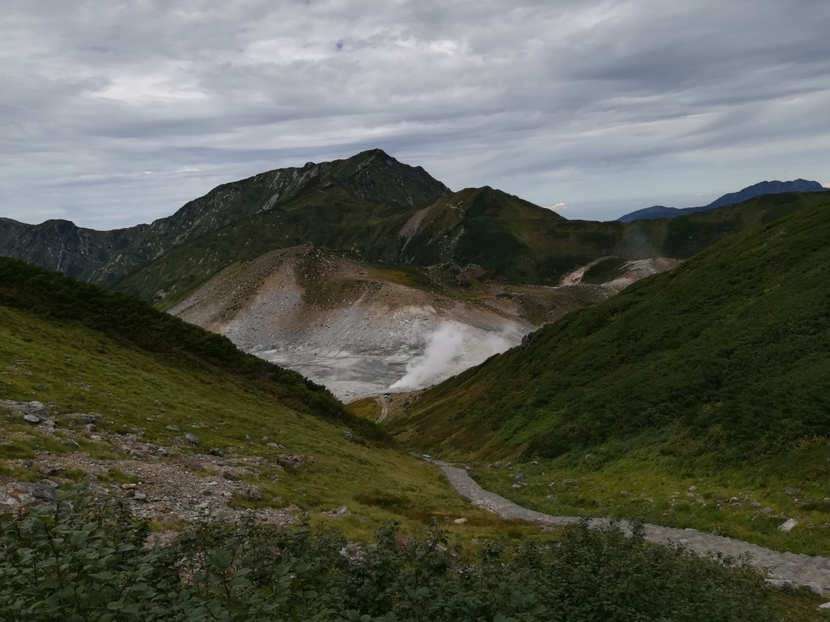 f:id:Daucas_carota:20200922115833j:plain