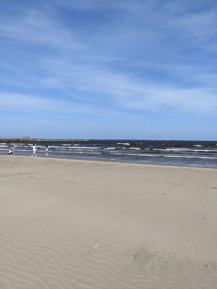 f:id:Daucas_carota:20210708232211j:plain