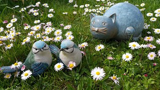 f:id:DavitRice:20161021112327j:plain f:id:DavitRice:20161021112327j:plain