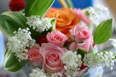 f:id:DayTripper:20060317123536j:image f:id:DayTripper:20060317123536j:image