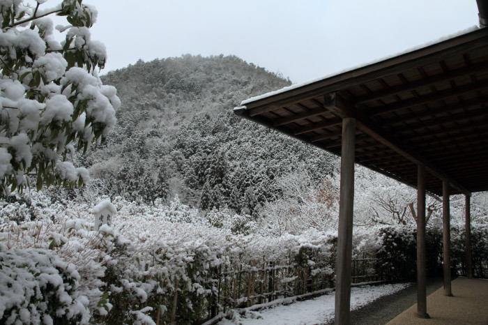 f:id:Daydreaming:20180114202559j:plain