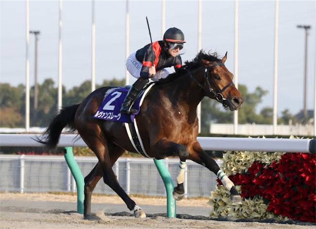 チャンピオンズカップ19 データ分析 Daysの競馬予想ブログ