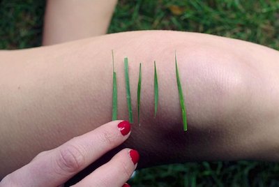 f:id:DaysLikeMosaic:20171103022904j:plain f:id:DaysLikeMosaic:20171103022904j:plain