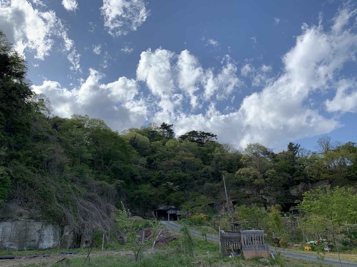 f:id:DeepForestGreen:20210503215401j:plain