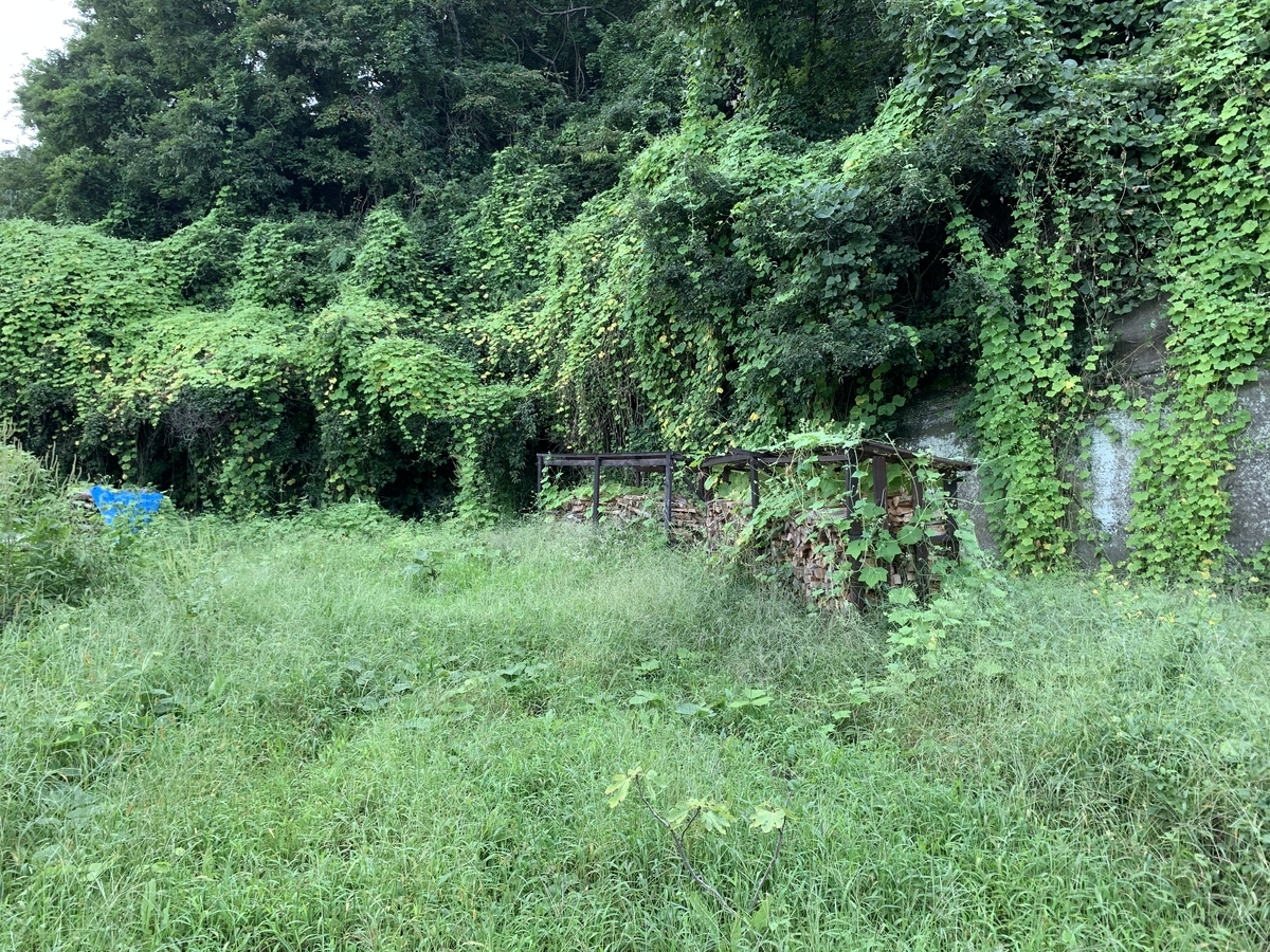 f:id:DeepForestGreen:20211010212710j:plain