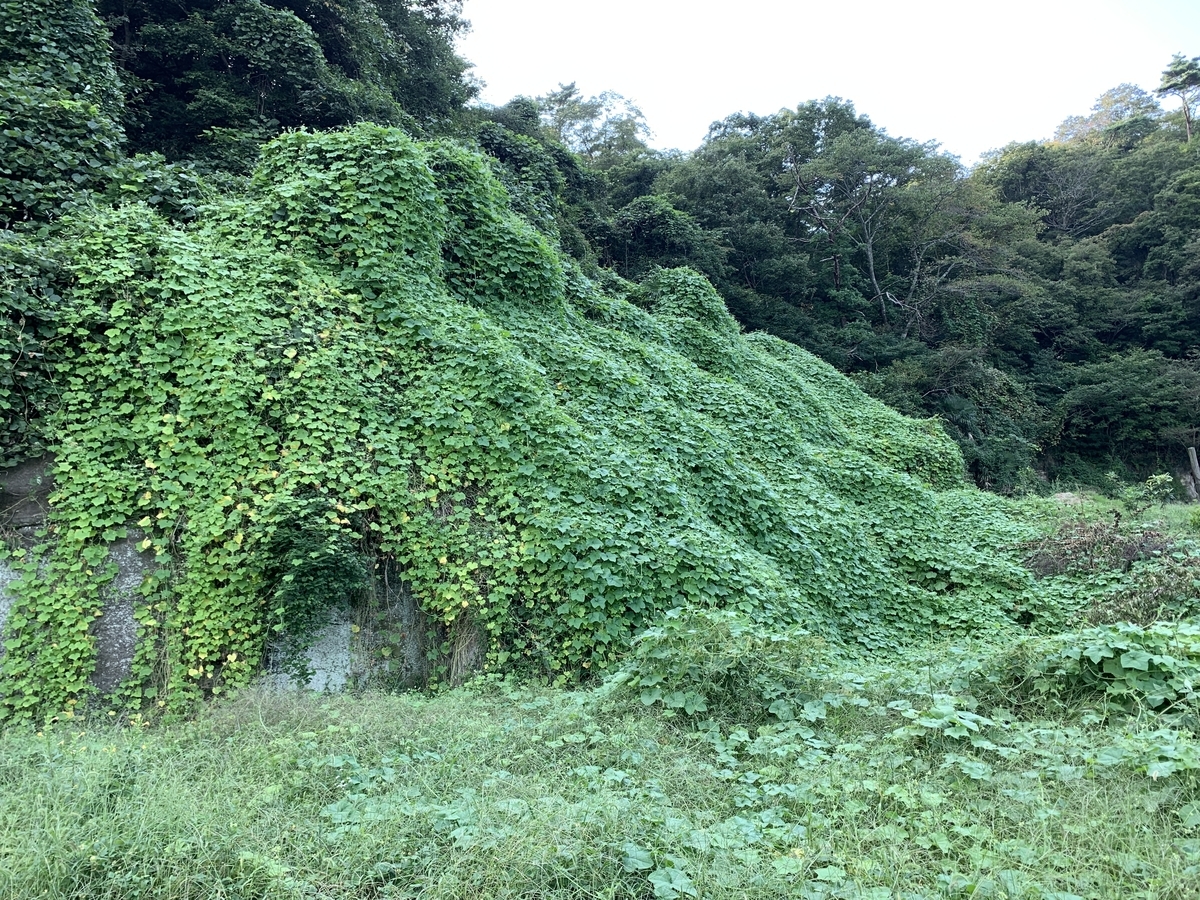 f:id:DeepForestGreen:20211010212901j:plain