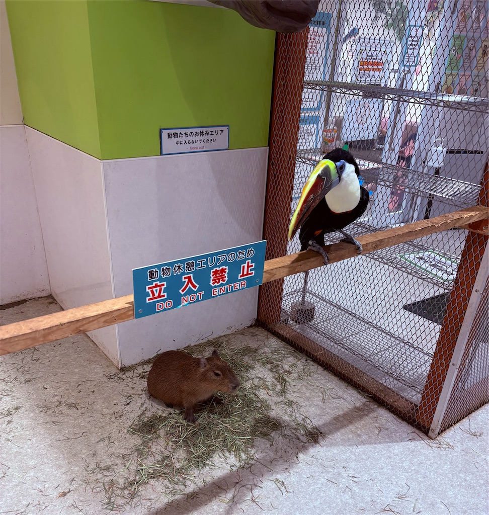 f:id:Dekoboko:20260713131522j:image f:id:Dekoboko:20260713131522j:image