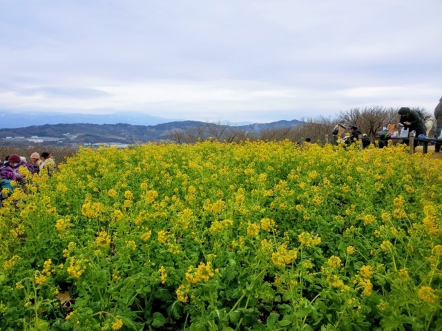 f:id:Delete_All:20180129231027j:plain f:id:Delete_All:20180129231027j:plain