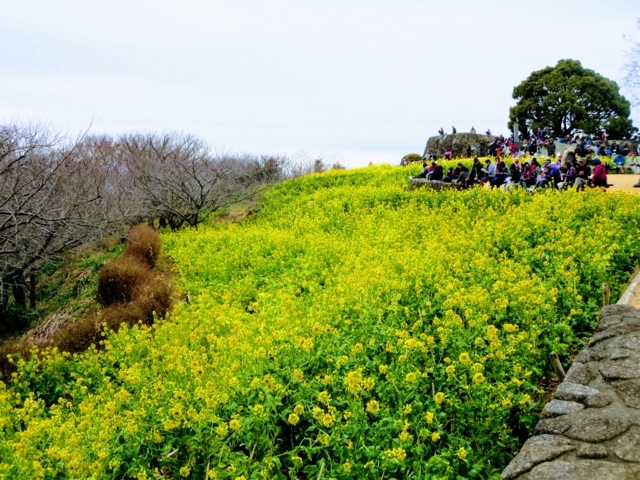 f:id:Delete_All:20180129232159j:plain f:id:Delete_All:20180129232159j:plain