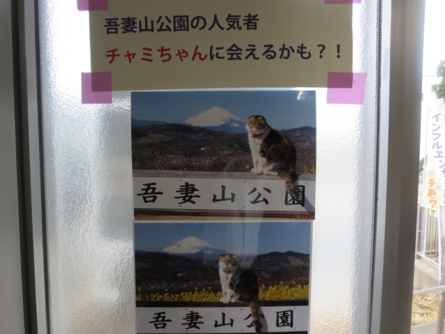 f:id:Delete_All:20180129233054j:plain f:id:Delete_All:20180129233054j:plain