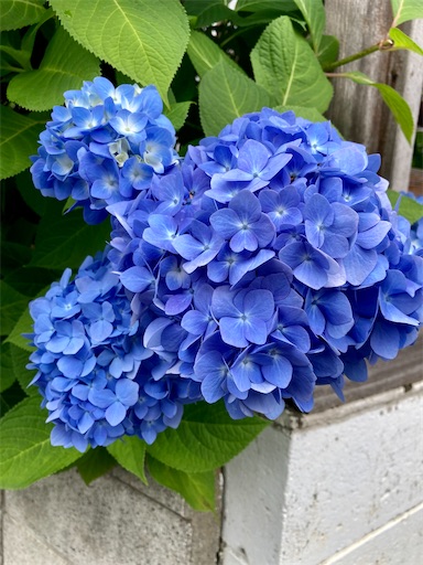 f:id:Delete_All:20230607005156j:image f:id:Delete_All:20230607005156j:image