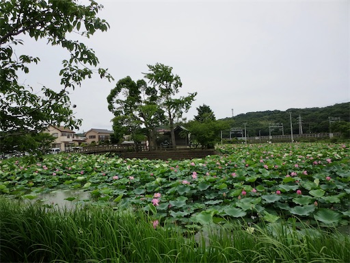 f:id:Delete_All:20230712001008j:image