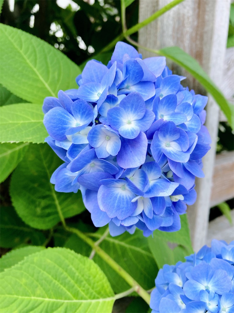 f:id:Delete_All:20250619184506j:image f:id:Delete_All:20250619184506j:image
