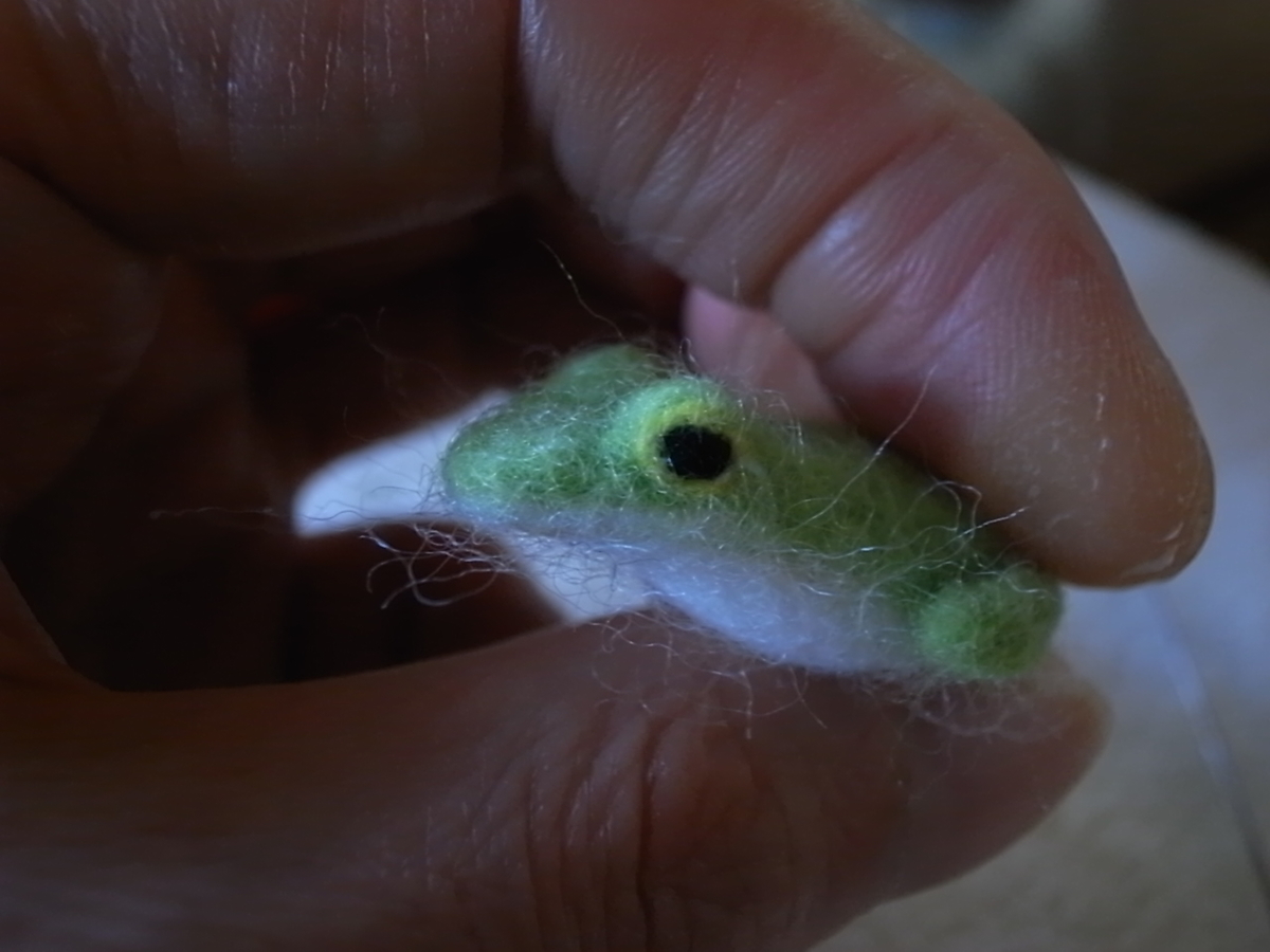f:id:Dendrobates:20200905002621j:plain