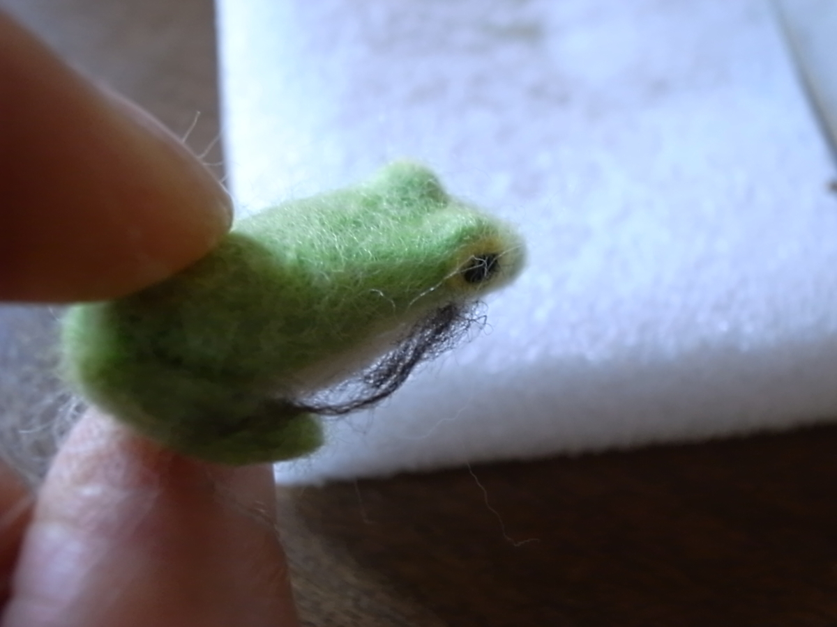 f:id:Dendrobates:20200905094932j:plain