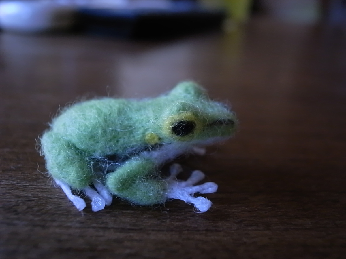f:id:Dendrobates:20200905141619j:plain