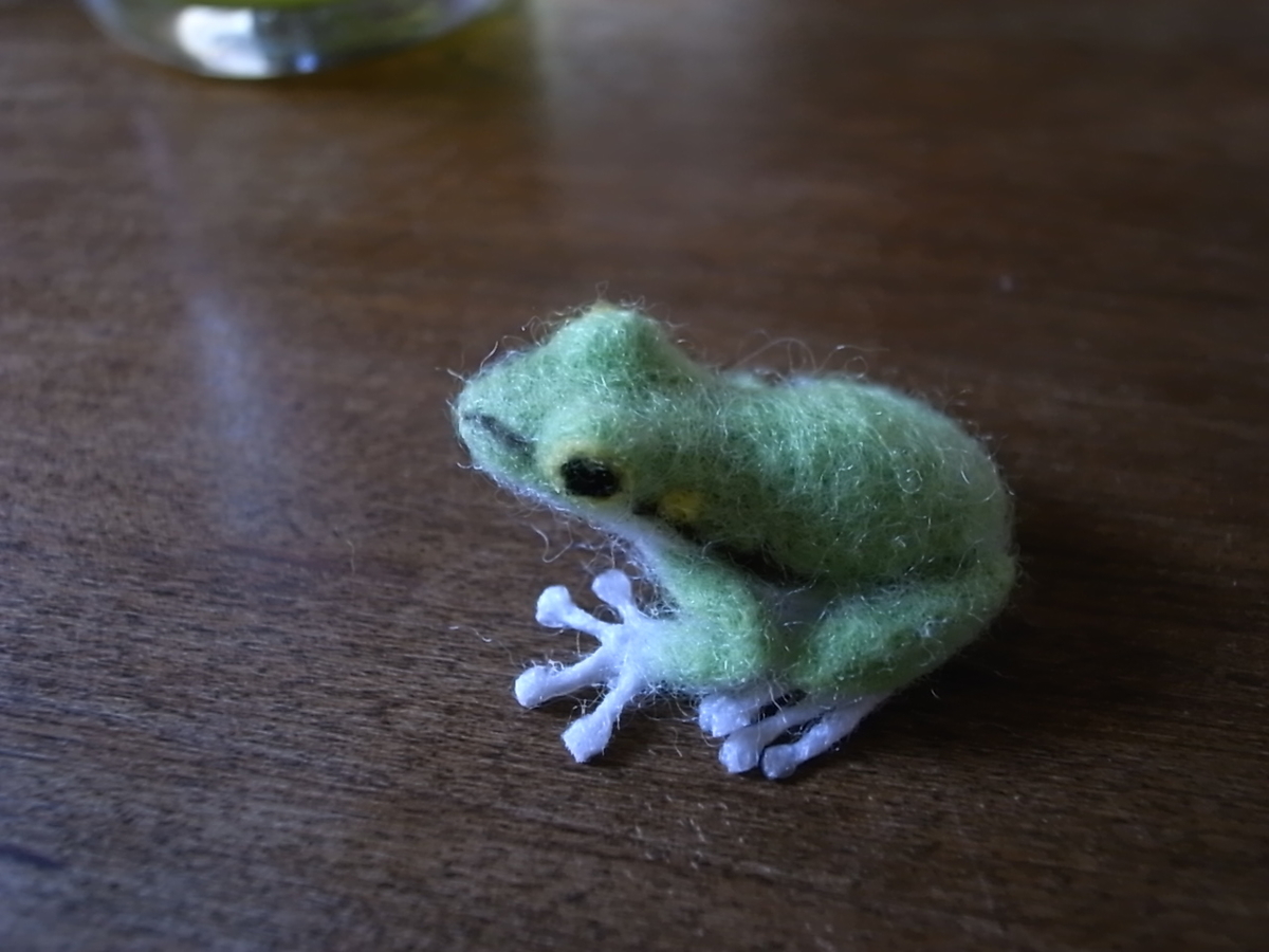 f:id:Dendrobates:20200905141752j:plain