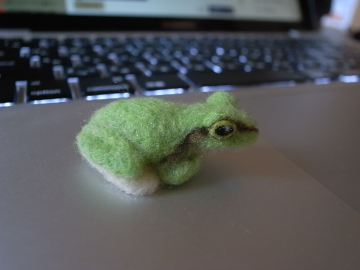 f:id:Dendrobates:20210220125407j:plain