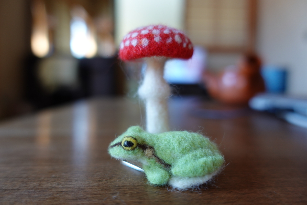 f:id:Dendrobates:20210223113110j:plain