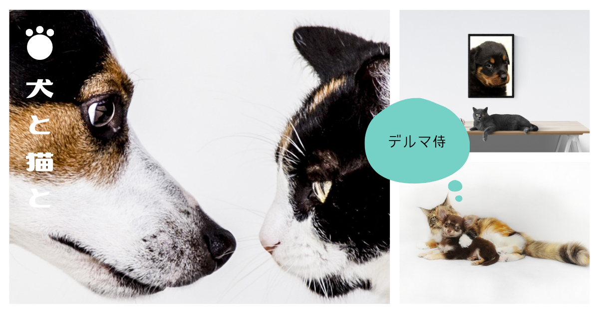 症状