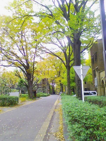 f:id:Dery-e:20061126144650j:image
