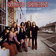 激安挑戦！！ 自分のロック感を作ったアーティスト（10）Lynyrd Skynyrd 洋楽